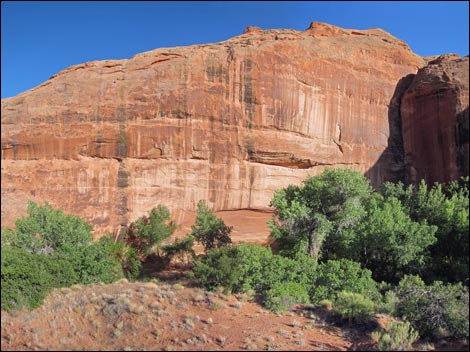 Coyote Gulch