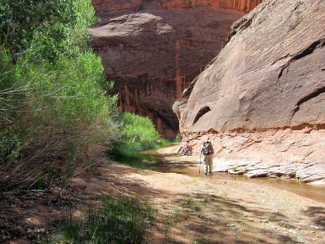 Coyote Gulch