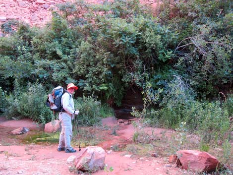 Coyote Gulch