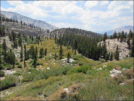 John Muir Trail