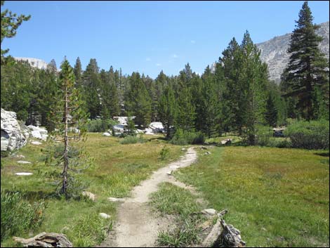 John Muir Trail