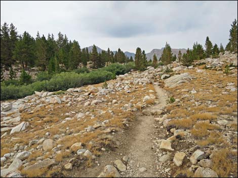 John Muir Trail