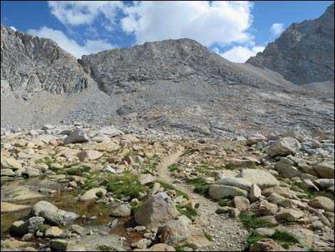 John Muir Trail