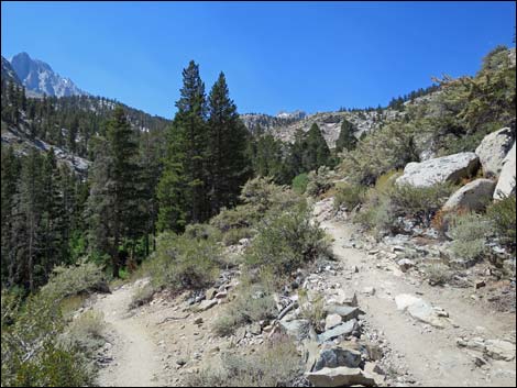 John Muir Trail