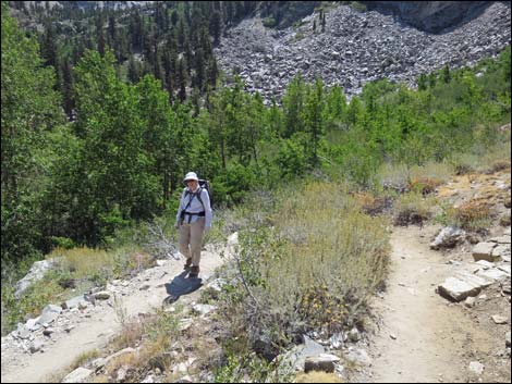 John Muir Trail