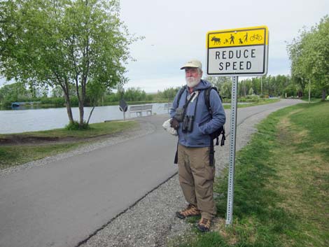 Alaska Birding