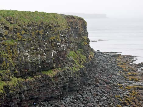 St. Paul, Pribilof Islands