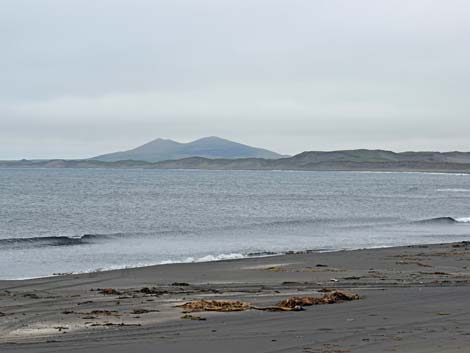 St. Paul, Pribilof Islands