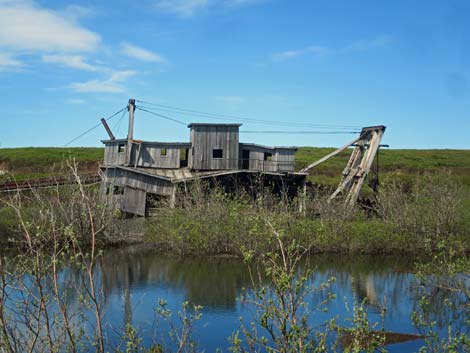 Nome birding