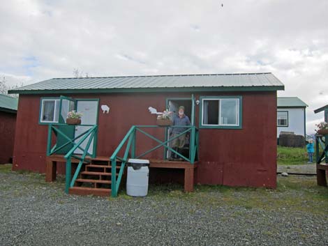 Denali birding