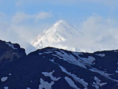 Denali birding