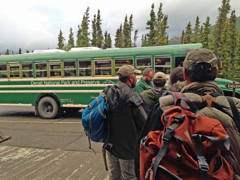 Denali birding