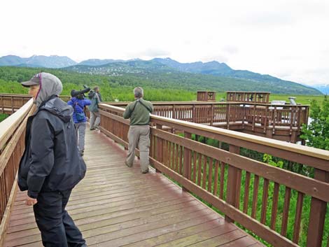 Seward birding