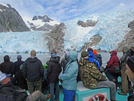 Seward birding