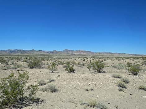 Delamar Mountains Wilderness Area