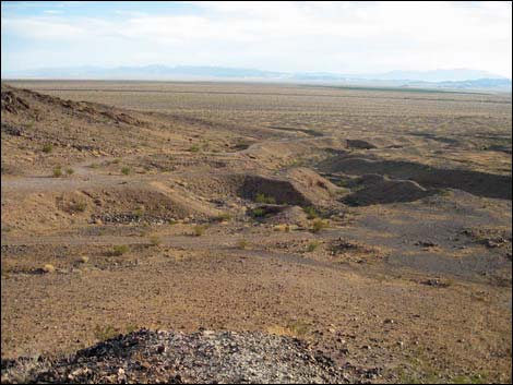 Cadiz Trilobite Quarry