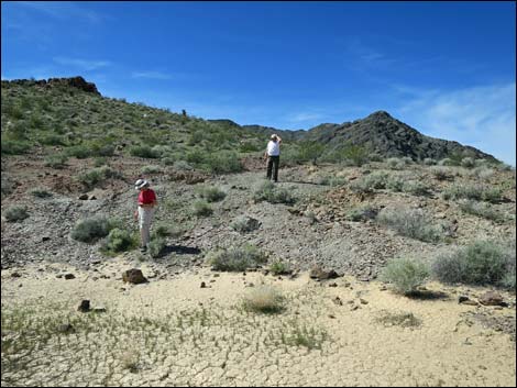 Nopah Trilobite Quarry