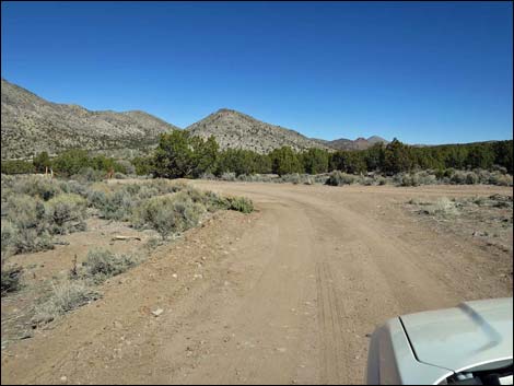 Oak Springs Trilobite Site