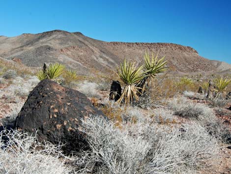 El Dorado Wilderness Area