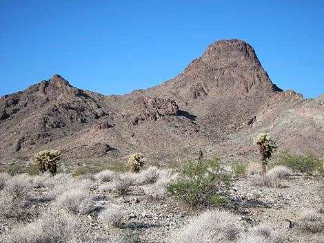 Ireteba Peaks Wilderness Area