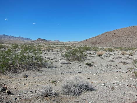 Ireteba Peaks Wilderness Area