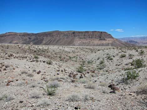 Ireteba Peaks Wilderness Area