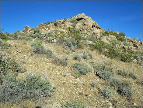 Jumbo Springs Wilderness Area