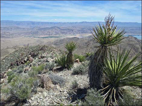 Jumbo Springs Wilderness Area