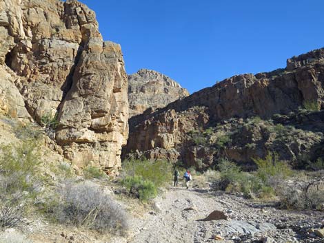 Lime Canyon Wilderness Area