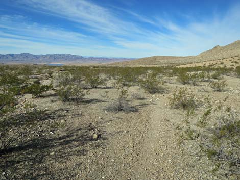 Lime Canyon Wilderness Area