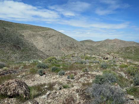 Lime Canyon Wilderness Area