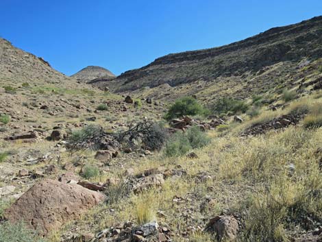 Meadow Valley Range Wilderness Area