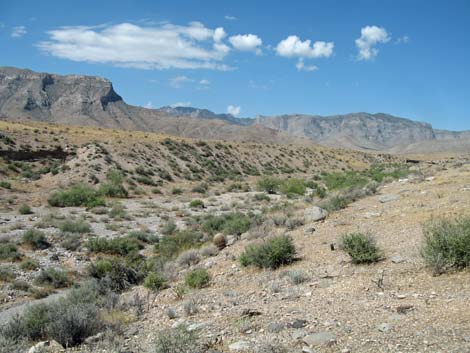 Mormon Mountains Wilderness Area