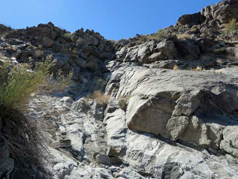 Mt. Wilson Wilderness Area