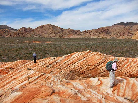 Muddy Mountains Wilderness Area