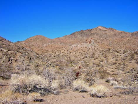 Nellis Wash Wilderness Area