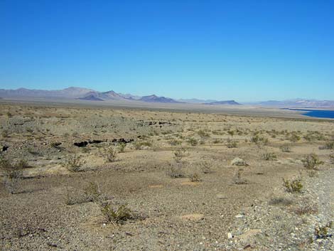 Nellis Wash Wilderness Area