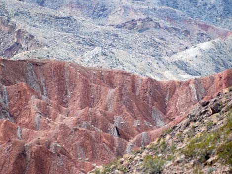 Pinto Valley Wilderness Area