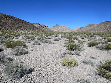 North McCullough Wilderness Area